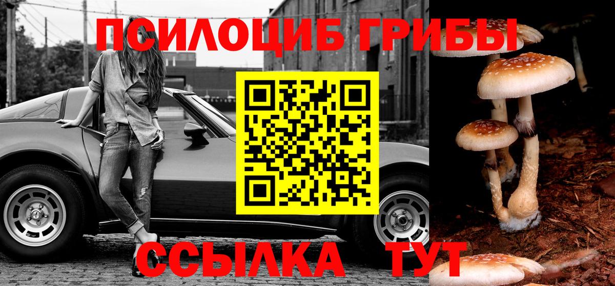 Псилоцибиновые грибы Cubensis  Галлюциногенные грибы мицелий  Вход с VPN  Гай 