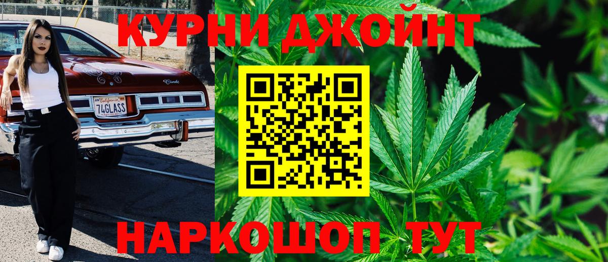 Бошки марихуана гибрид Гай